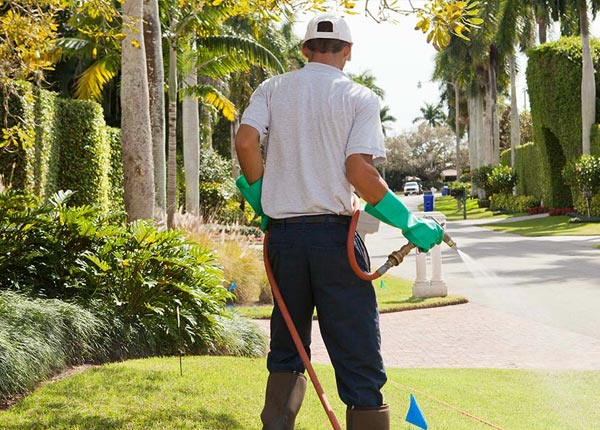 About Bakewell TN Pest Control Pros